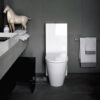 LAUFEN 82333.6 KARTELL rimless 落地式馬桶 (25~30cm)