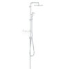 GROHE 26675000 Tempesta Cocmopclitan System 250 淋浴花灑組