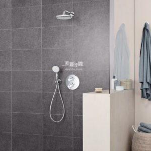 GROHE TEMPESTA 250 26668000 圓形壁式花灑