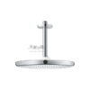 GROHE TEMPESTA 250 26669000 圓形天花板花灑
