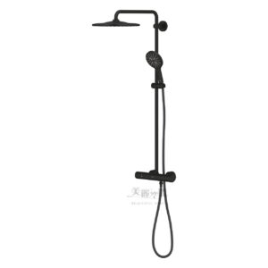 德國 GROHE RAINSHOWER 310 定溫淋浴花灑組 22119KF0 幻影黑